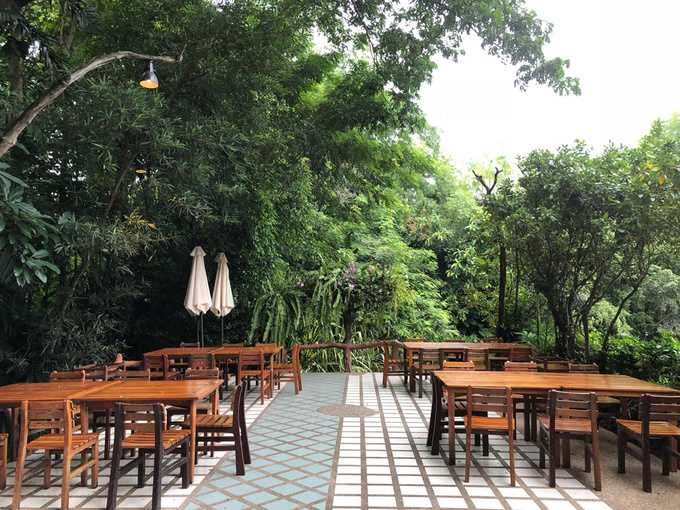 nha-hang-nhu-khu-rung-6