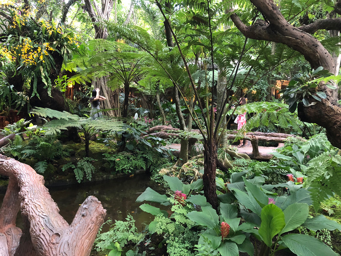 nha-hang-nhu-khu-rung-9