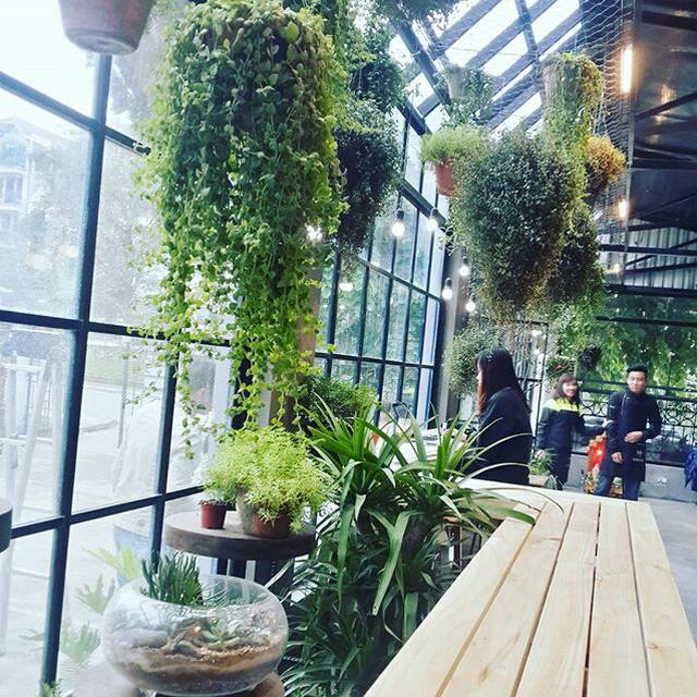 quan-cafe-dep-dong-khach